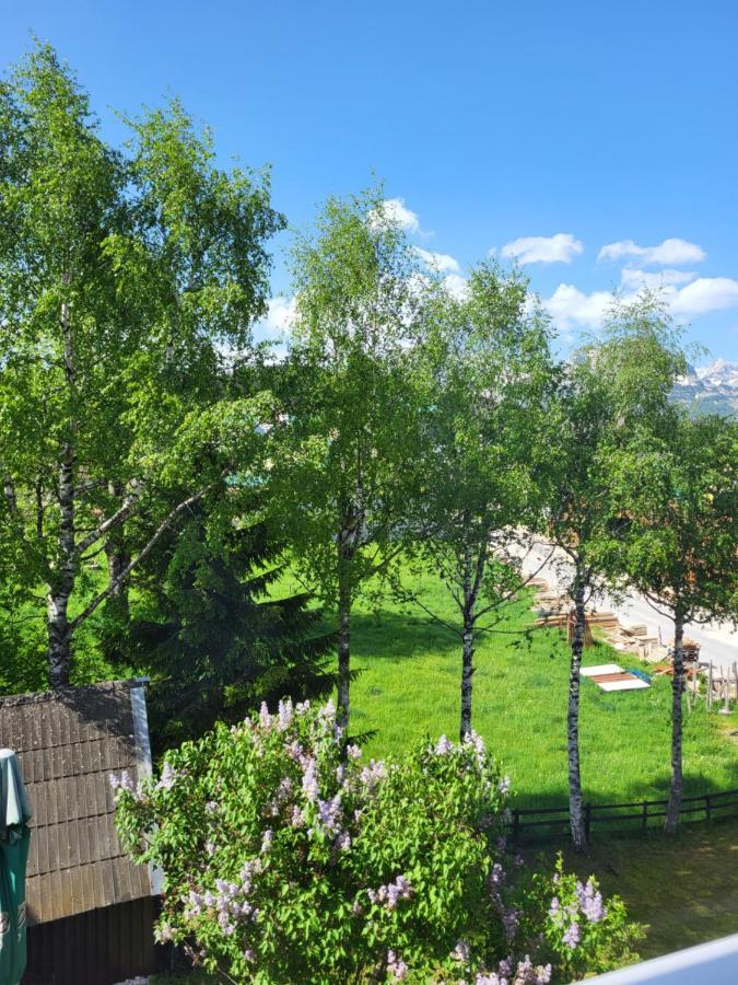 Apartments Center Zoric Жабляк Экстерьер фото